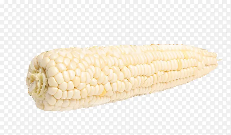 一个新鲜的白色糯玉米