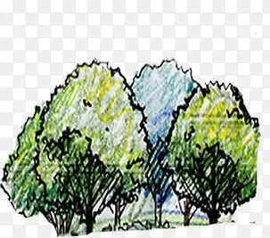 手绘水彩简笔画树木