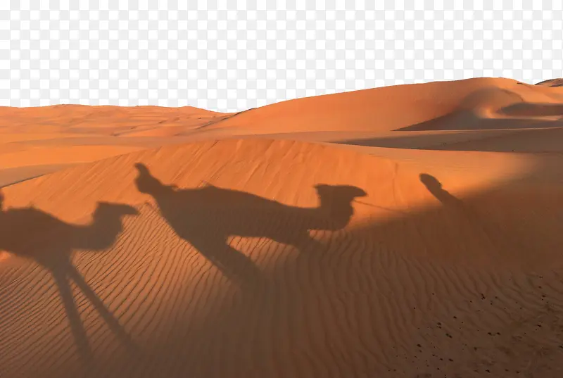 金色沙漠夕阳骆驼影子