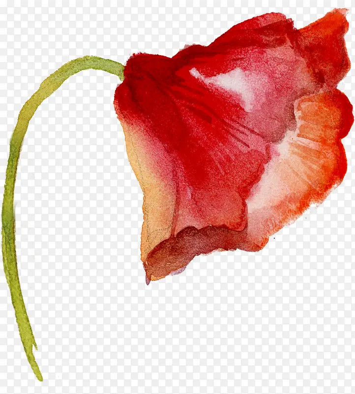 手绘花卉
