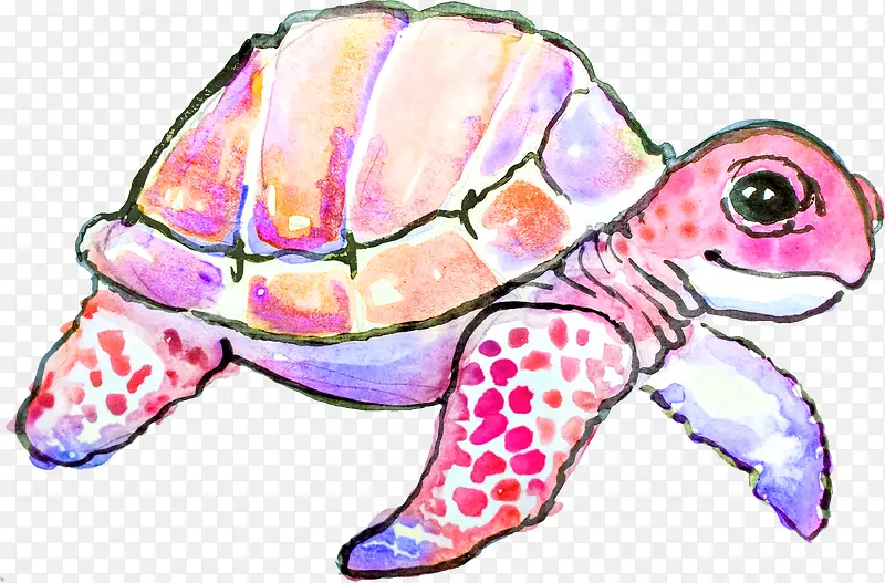 手绘粉色海龟