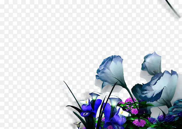青色花卉