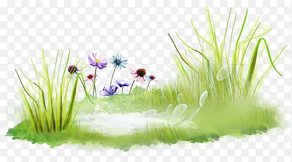 水洼