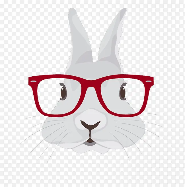 戴眼镜的兔子头