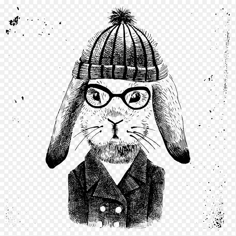 戴眼镜的兔子