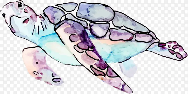 手绘彩色花纹海龟