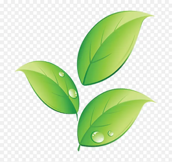 绿色清新水珠树叶装饰图案