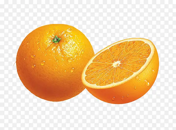 手绘逼真的橙子