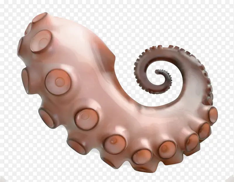 火爆鱿鱼爪触须3D