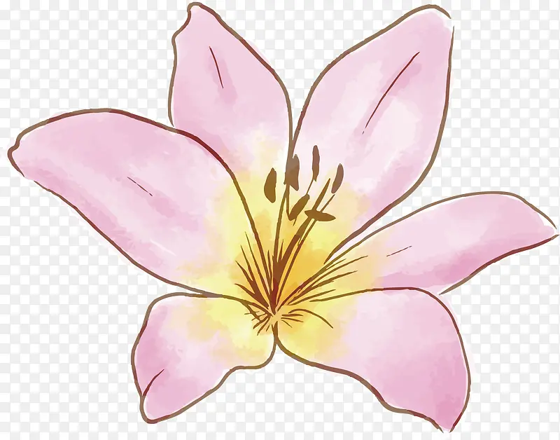 手绘春天粉色花朵
