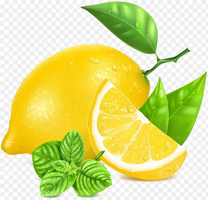 逼真手绘柠檬