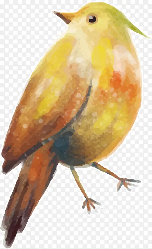 啄木鸟装饰手绘卡通