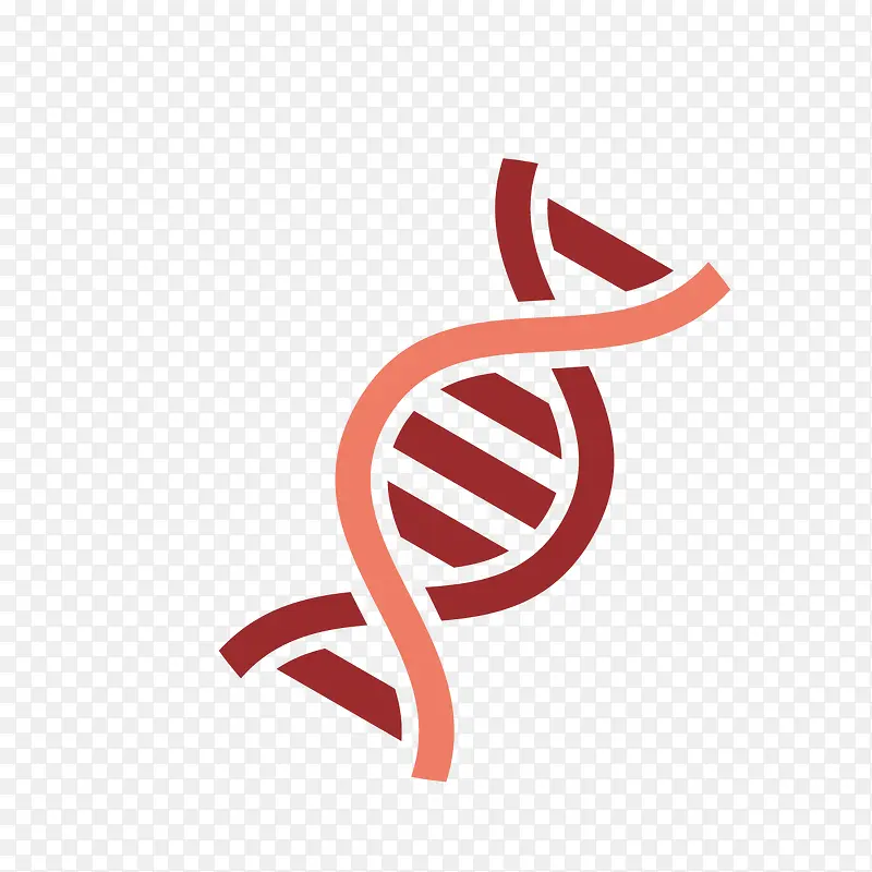 矢量DNA分子基因链手绘