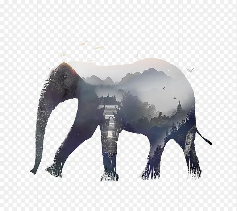 素描大象图案