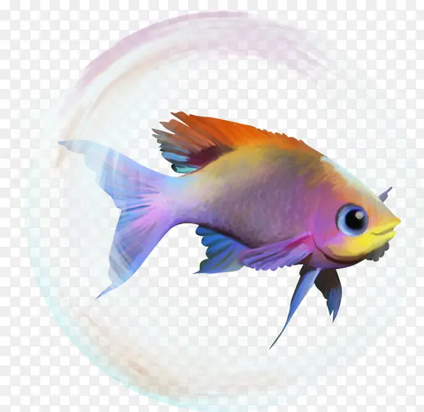 彩色小鱼