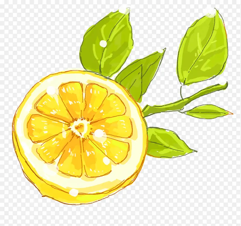 手绘柠檬水果插画