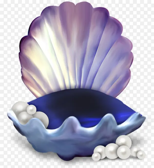 手绘紫色贝壳