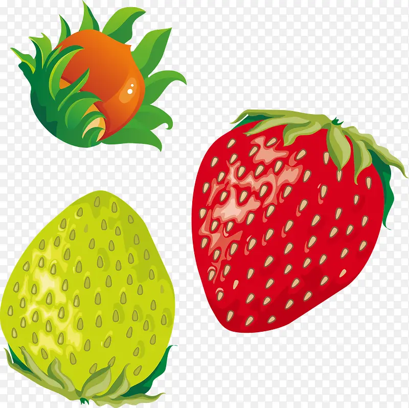 红草莓绿草梅矢量水果