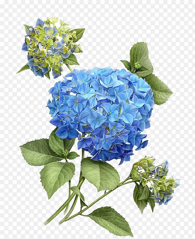 蓝紫色装饰花束