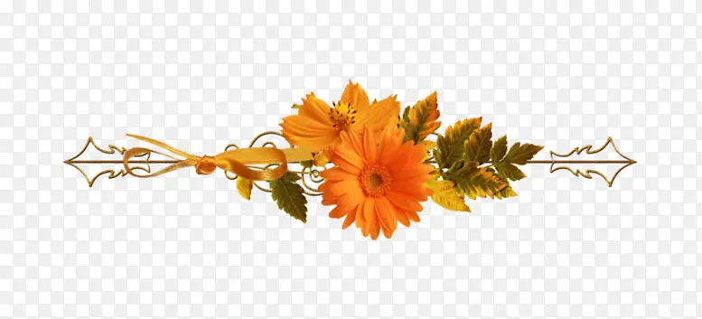 橙色花朵花纹底纹