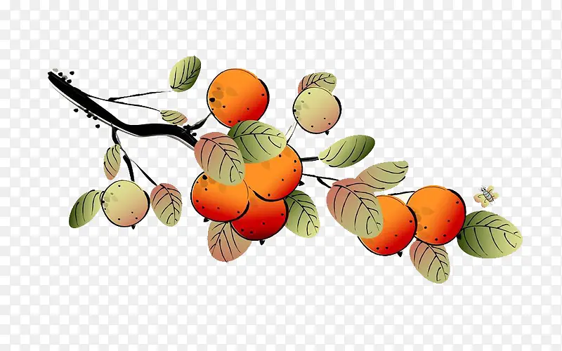 手绘彩绘果园水果橙子图案