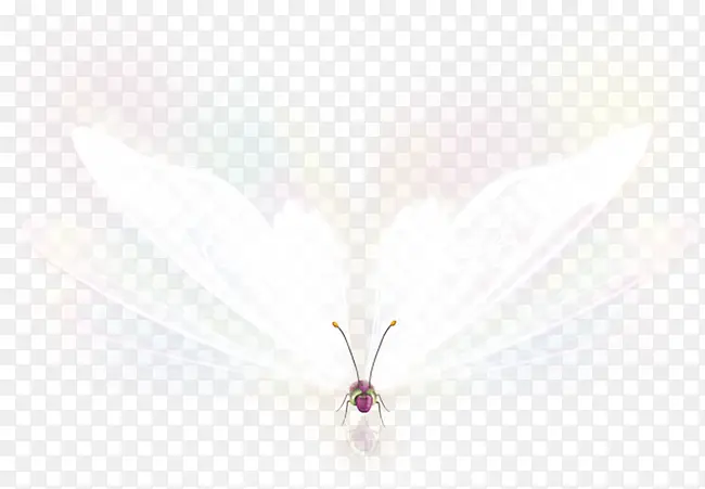 梦幻发光蝴蝶