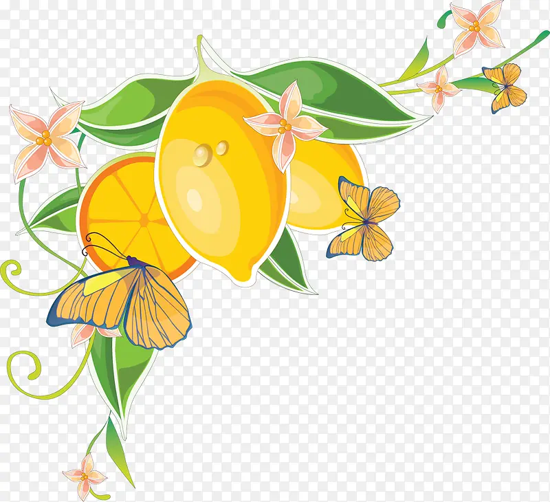 彩绘橙子装饰图片