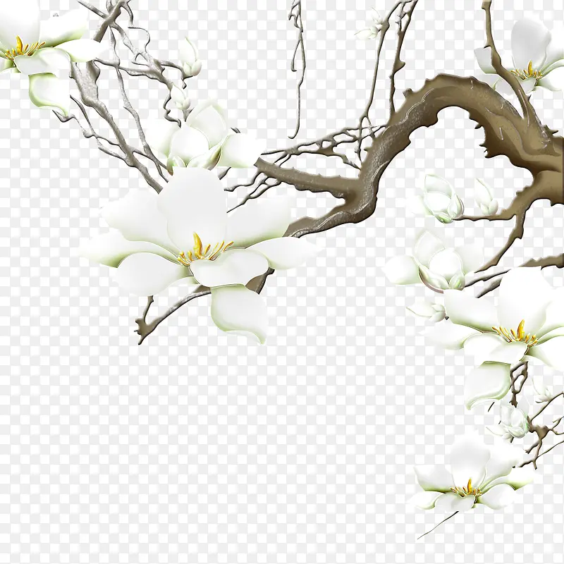 花枝PNG图片素材下载_图片编号qgkvbmwq-免抠素材网