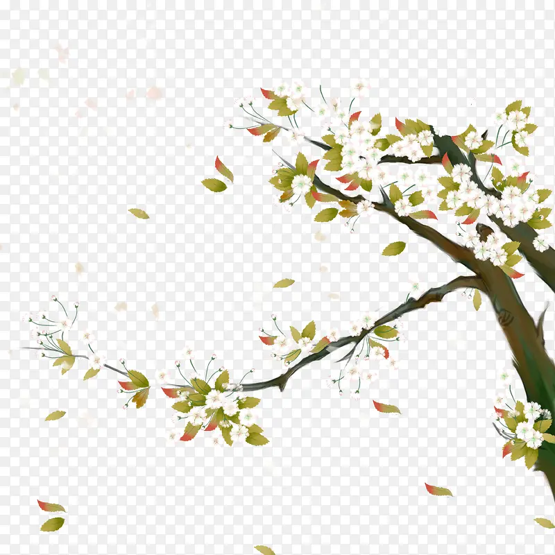 精美手绘树枝上的花朵PNG图片素材下载_图片编号yzmpxroq-免抠素材网
