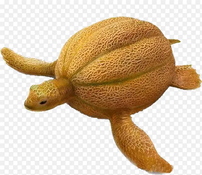 哈密瓜做的乌龟