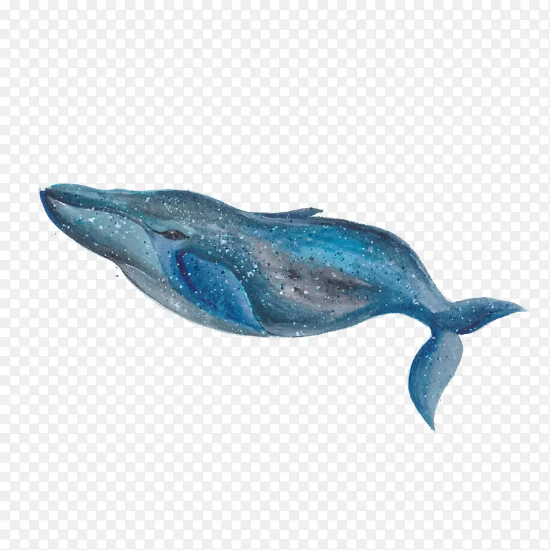 手绘蓝色鲸鱼矢量图
