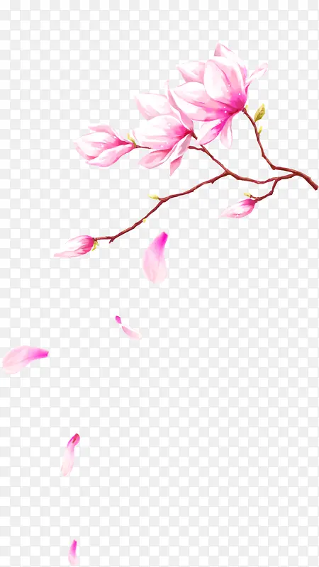粉色手绘玉兰花树枝装饰图案
