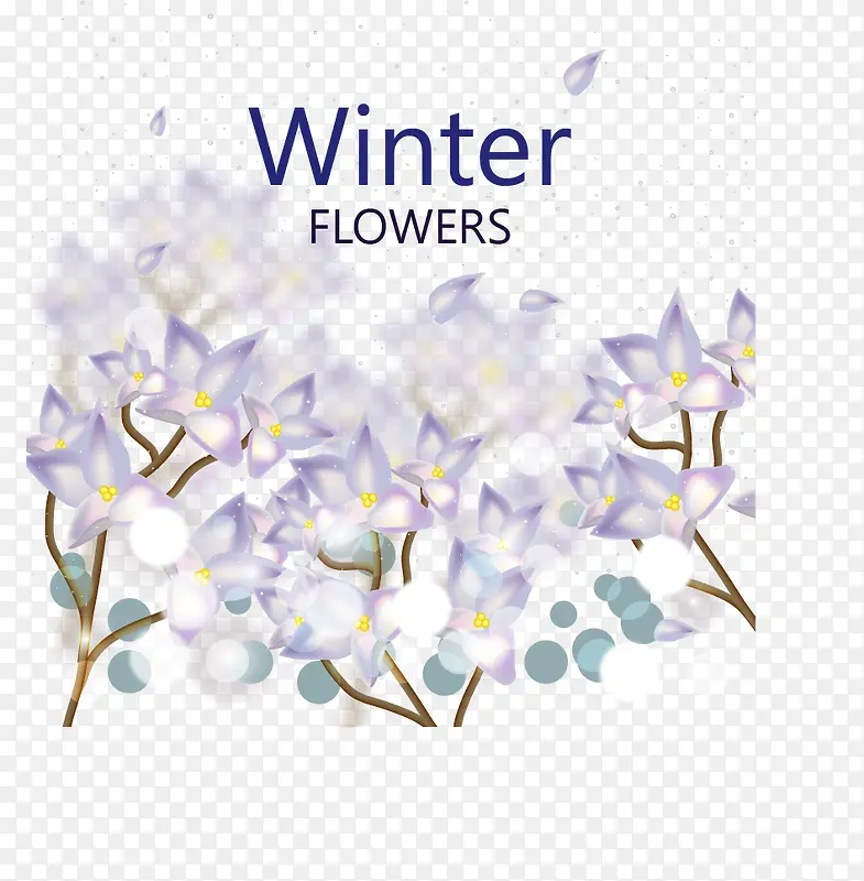 浪漫的冬日花朵