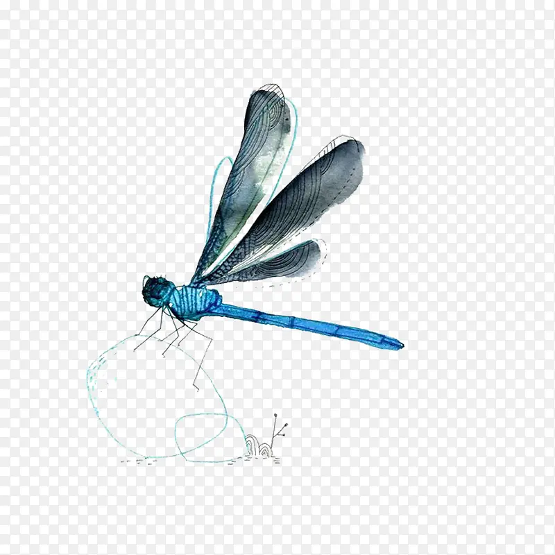 手绘蓝色的蜻蜓效果图