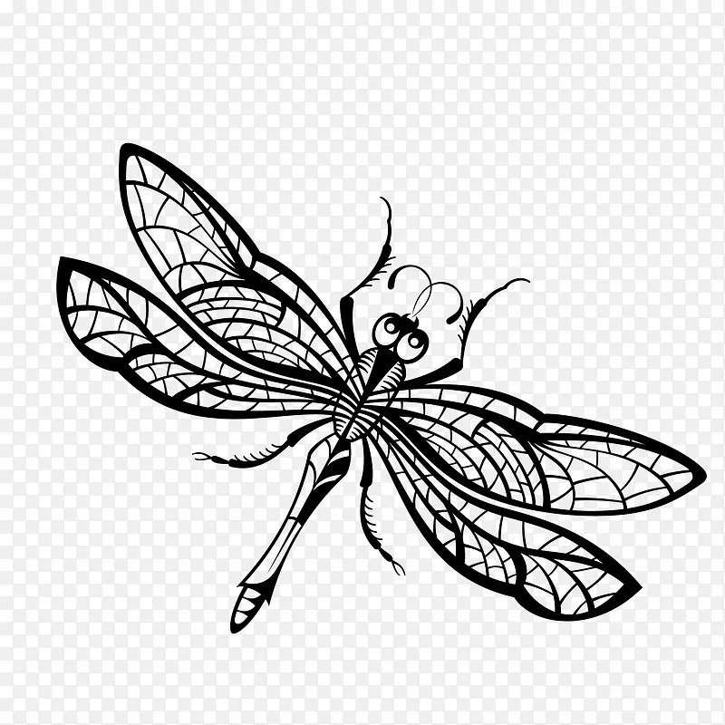 黑色手绘的蜻蜓昆虫