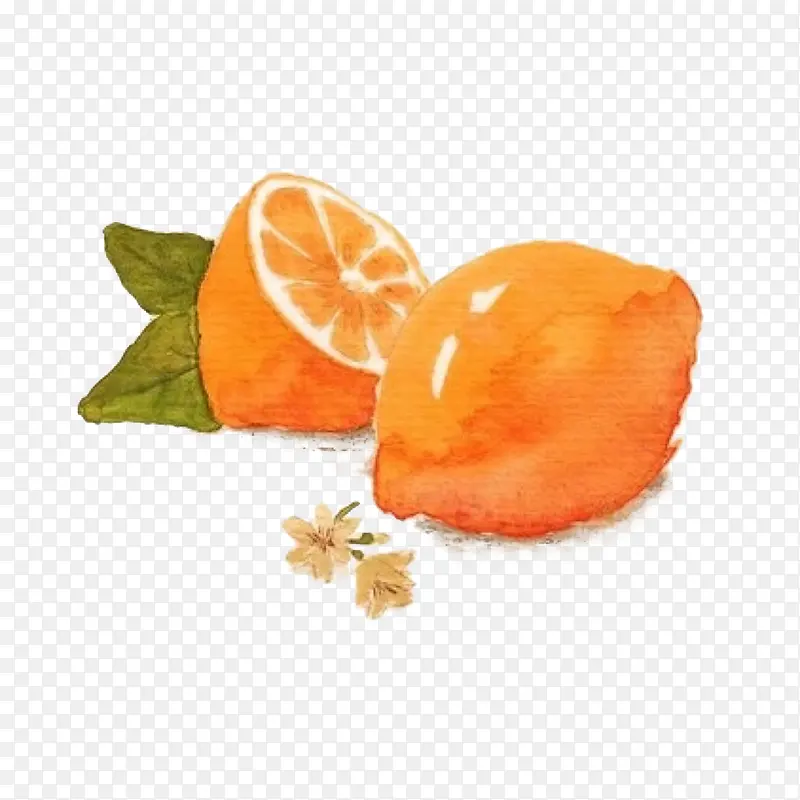 橙色的柠檬图片素材