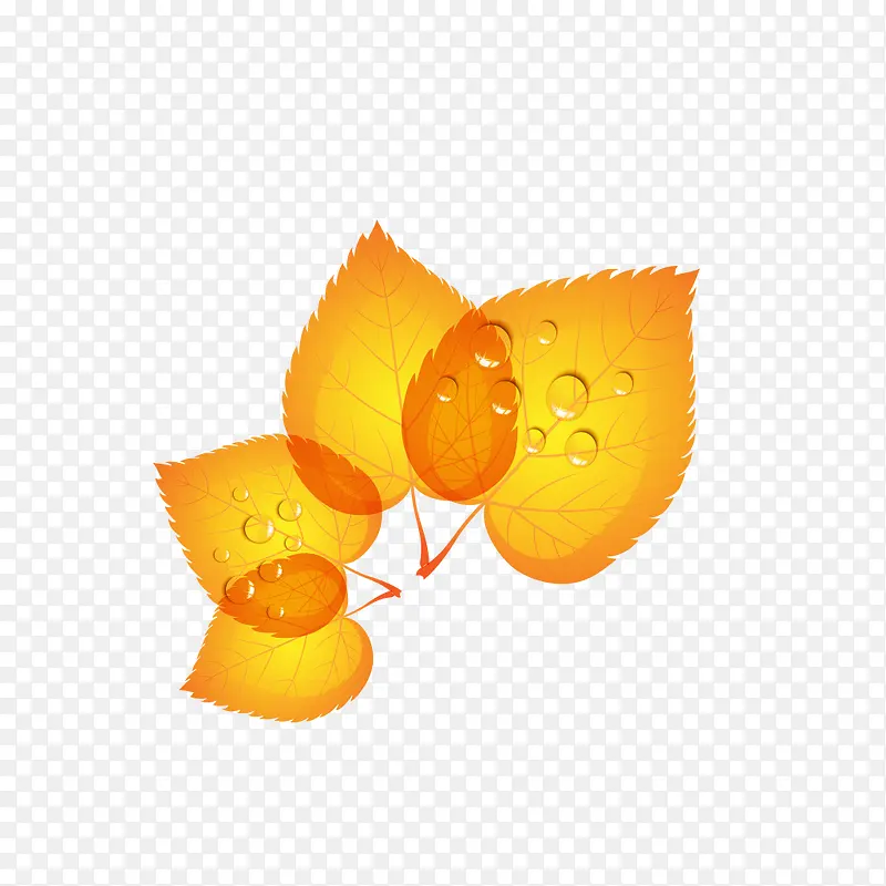 树叶