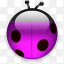 紫色昆虫