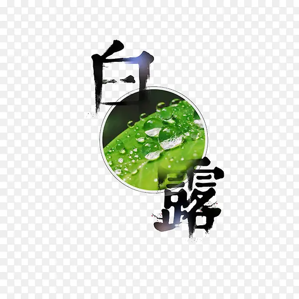 节气白露