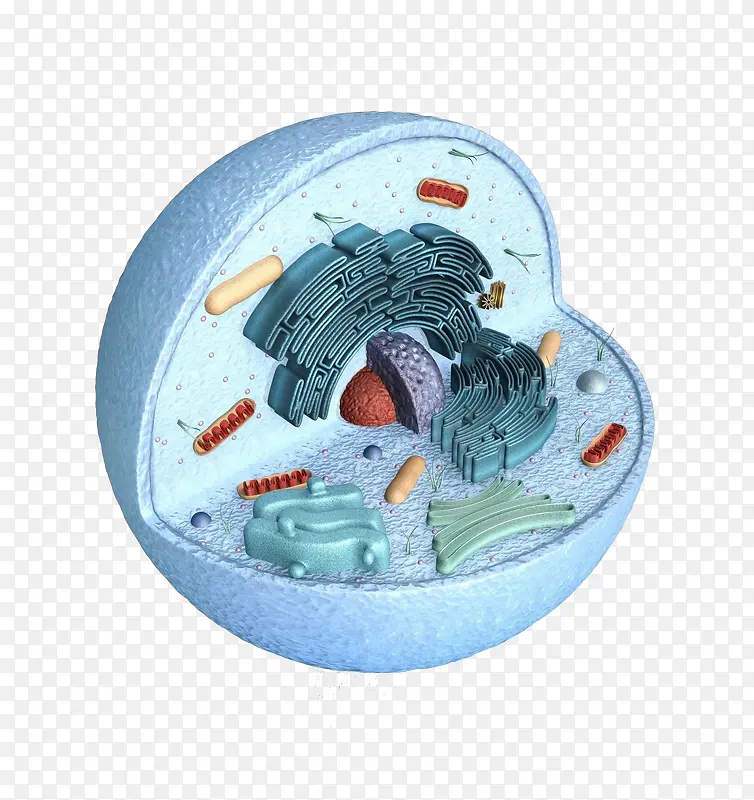 细胞建筑3D立体插画