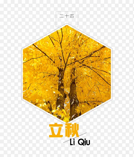 金黄色唯美立秋图标