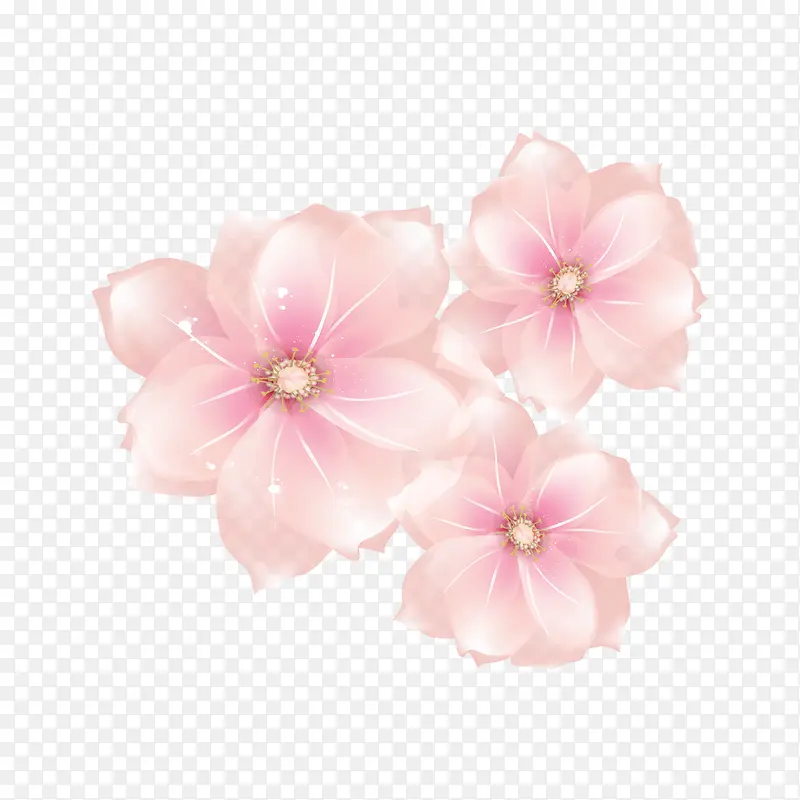 立体粉色花卉装饰图案