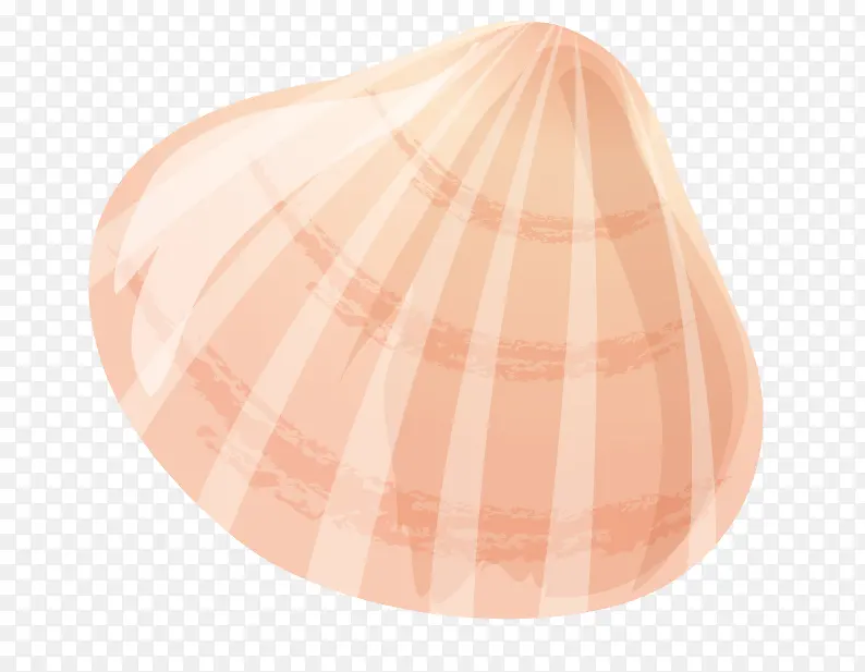 淡粉色手绘的贝壳