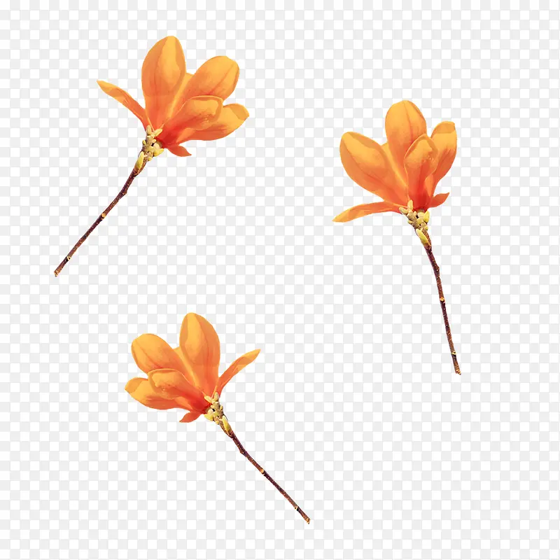 橙色手绘花枝花朵漂浮素材
