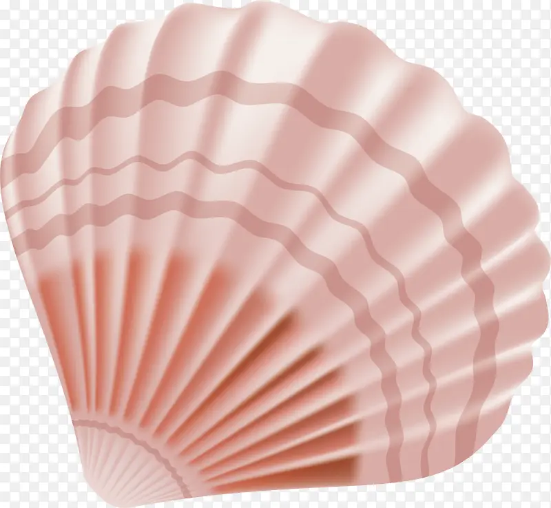 粉色贝壳矢量图