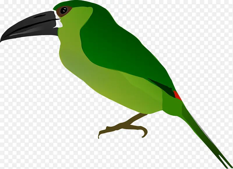 绿色的啄木鸟