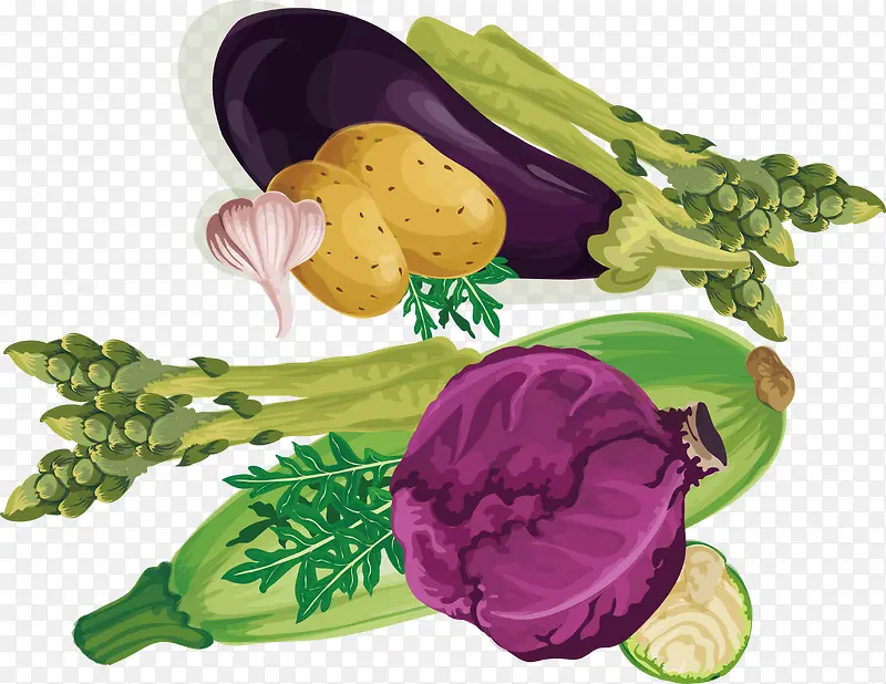 紫色包菜