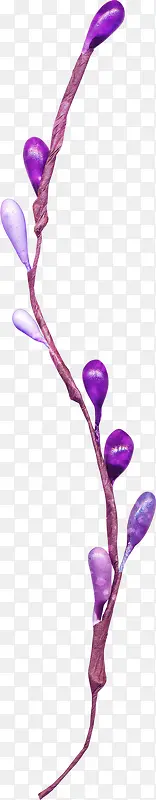 紫色漂亮花枝