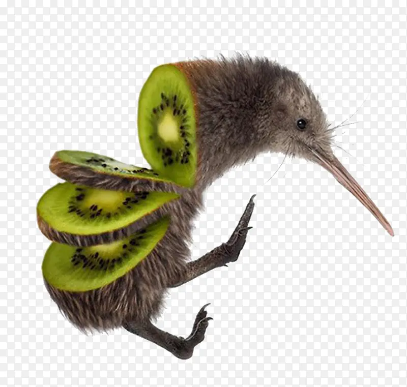 奇奇怪怪的蔬果幼鸟