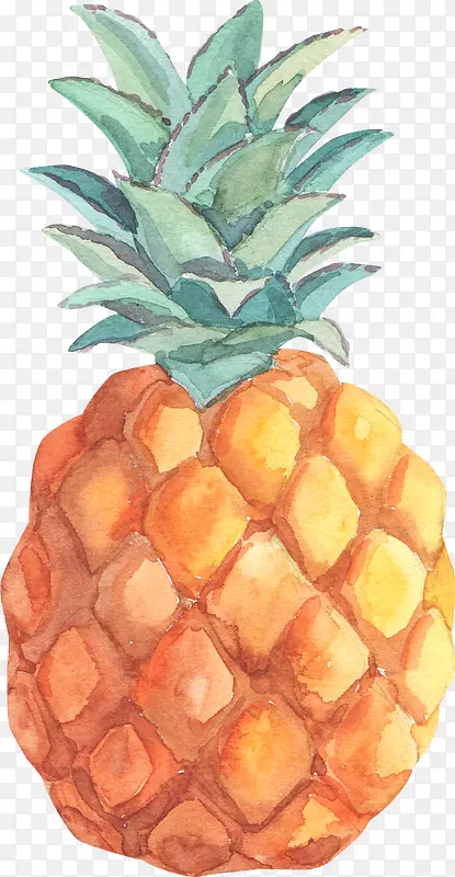 手绘水墨风菠萝